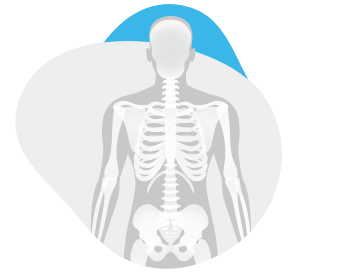 Human silhouette showing bones